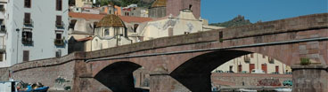 il ponte sul Temo