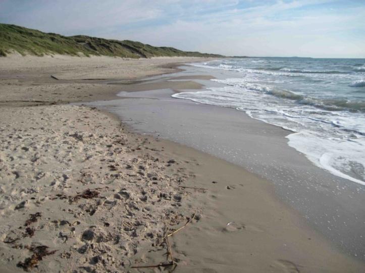 La spiaggia di Hirtshals camper danimarca spiaggia hirtshals