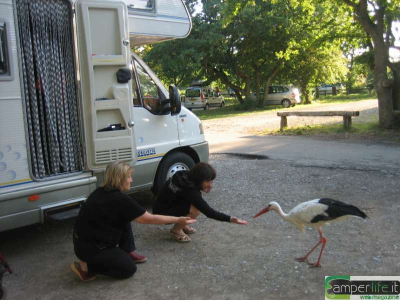 camper francia alsazia  strasburgo eguishem