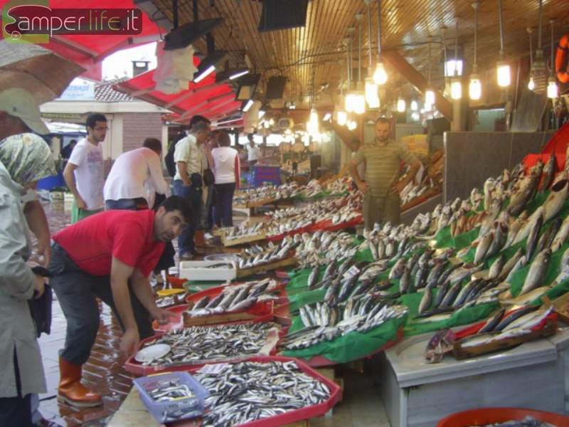 Il mercato del pesce di Istambul