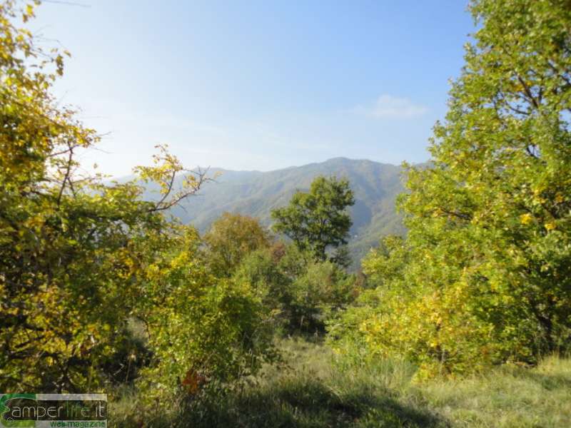 Parco Nazionale delle Foreste Casentinesi