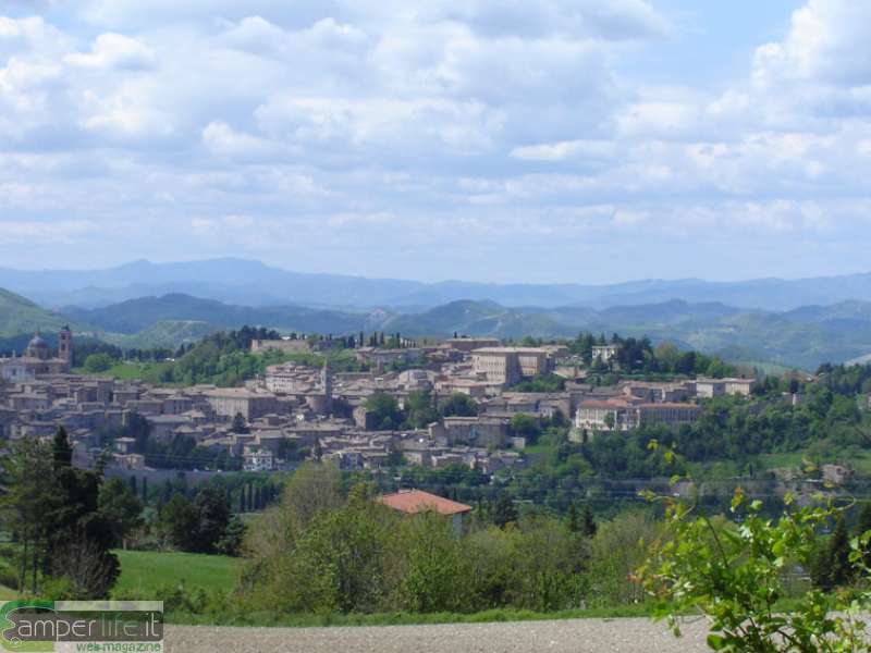 Urbino