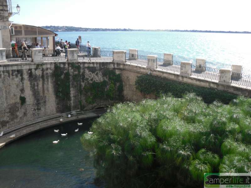 camper sicilia ortigia fonte aretusa