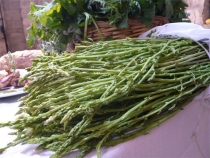 A Poggio Moiano l�asparago selvatico diventa re della tavola