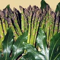 Natura, cultura ed asparagi a Terlano (BZ) Natura, cultura ed asparagi a Terlano (BZ)