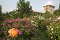 Tour al profumo di rosa in Franciacorta, a Castello Quistini