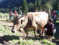 Le Erbe del casaro, in val Bembrana