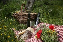 Arriva la primavera e a Trevi (PG) torna il "pic-nic" Arriva la primavera e a Trevi (PG) torna il "pic-nic"