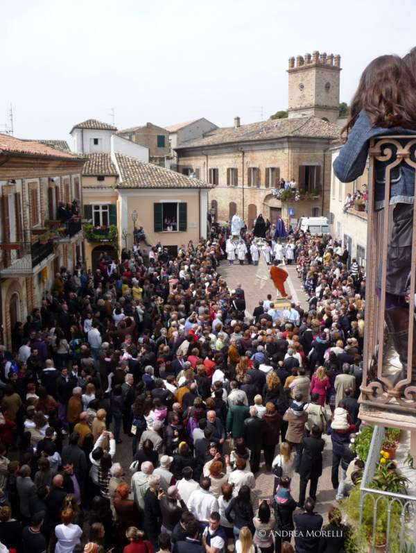 (copyright: Andrea Morelli) (copyright: Andrea Morelli)