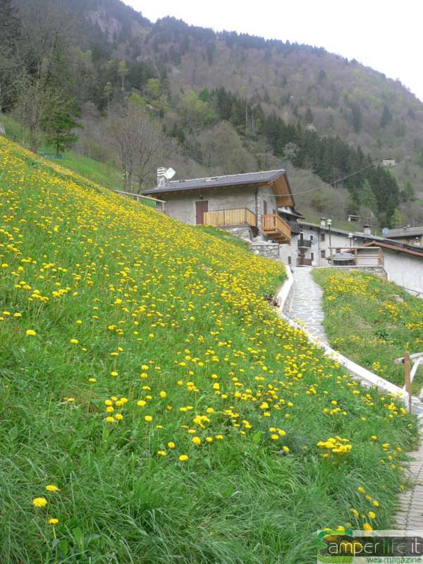 Mezzoldo - Foto di Francesca Piredda camper week end val brembana mezzoldo