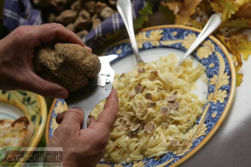 Tartufo bianco camper mantova po tartufo bianco