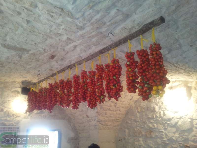 Una cantina del Salento camper salento cantina