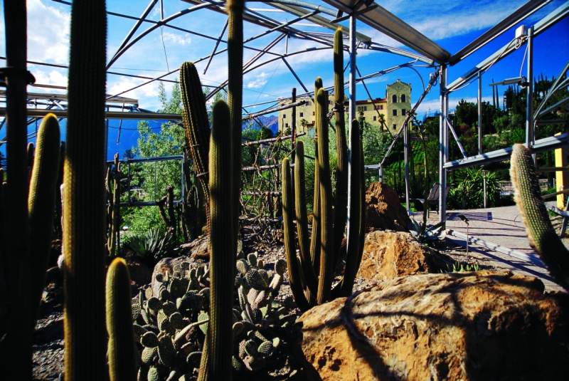 Giardini di Castel Trauttmandorff: il giardino delle Succulente camper merano Giardini di Castel Trauttmandorff giardino succulente