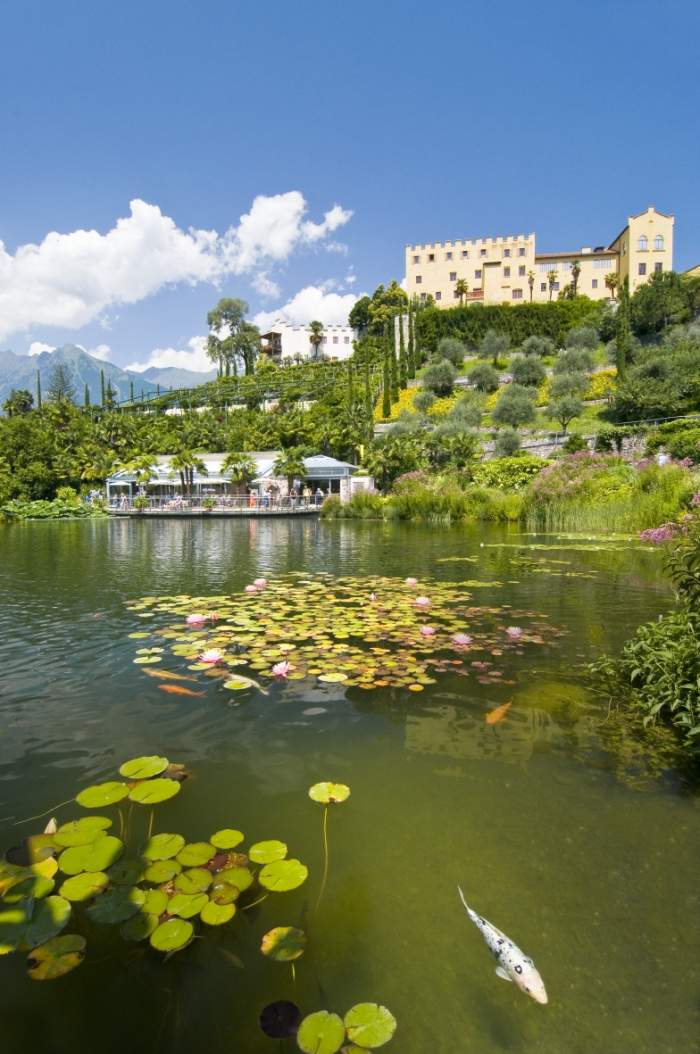 Giardini di Castel Trauttmandorff: laghetto delle ninfee camper merano Giardini di Castel Trauttmandorff laghetto delle ninfee