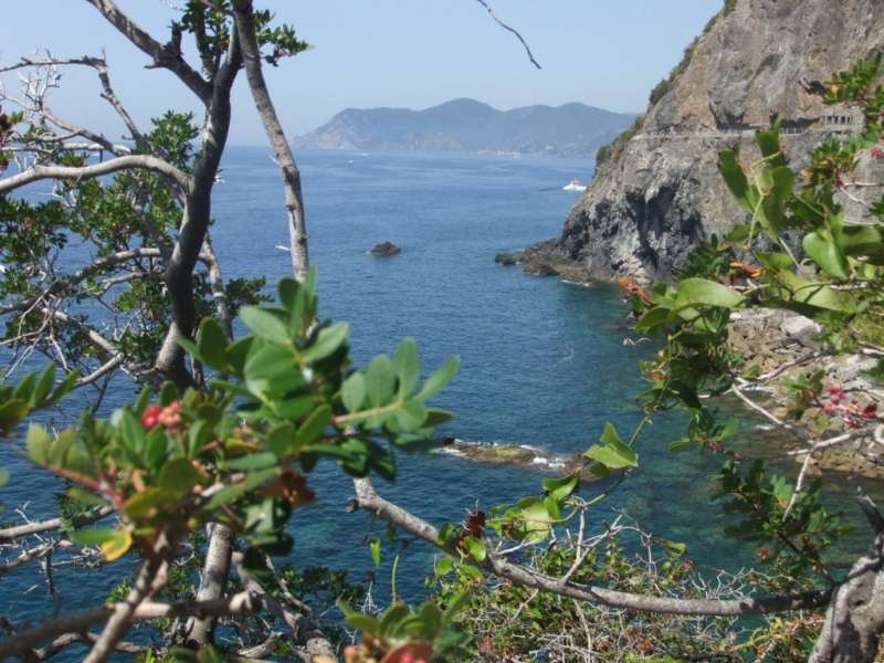 Scorcio della via dell'amore, sentiero azzurro ligure camper trekking liguria sentiero azzurro via dell amore scorcio