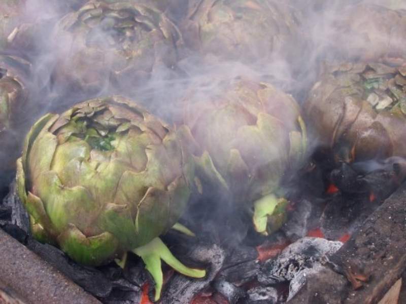 foto: http://www.lucianopignataro.it campeer salerno pagani carciofi carbonella