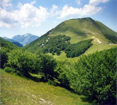 Panoramica del Monte Cucco