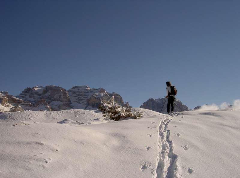 Escursione con le ciaspole camper trentino carnevale ciaspolata